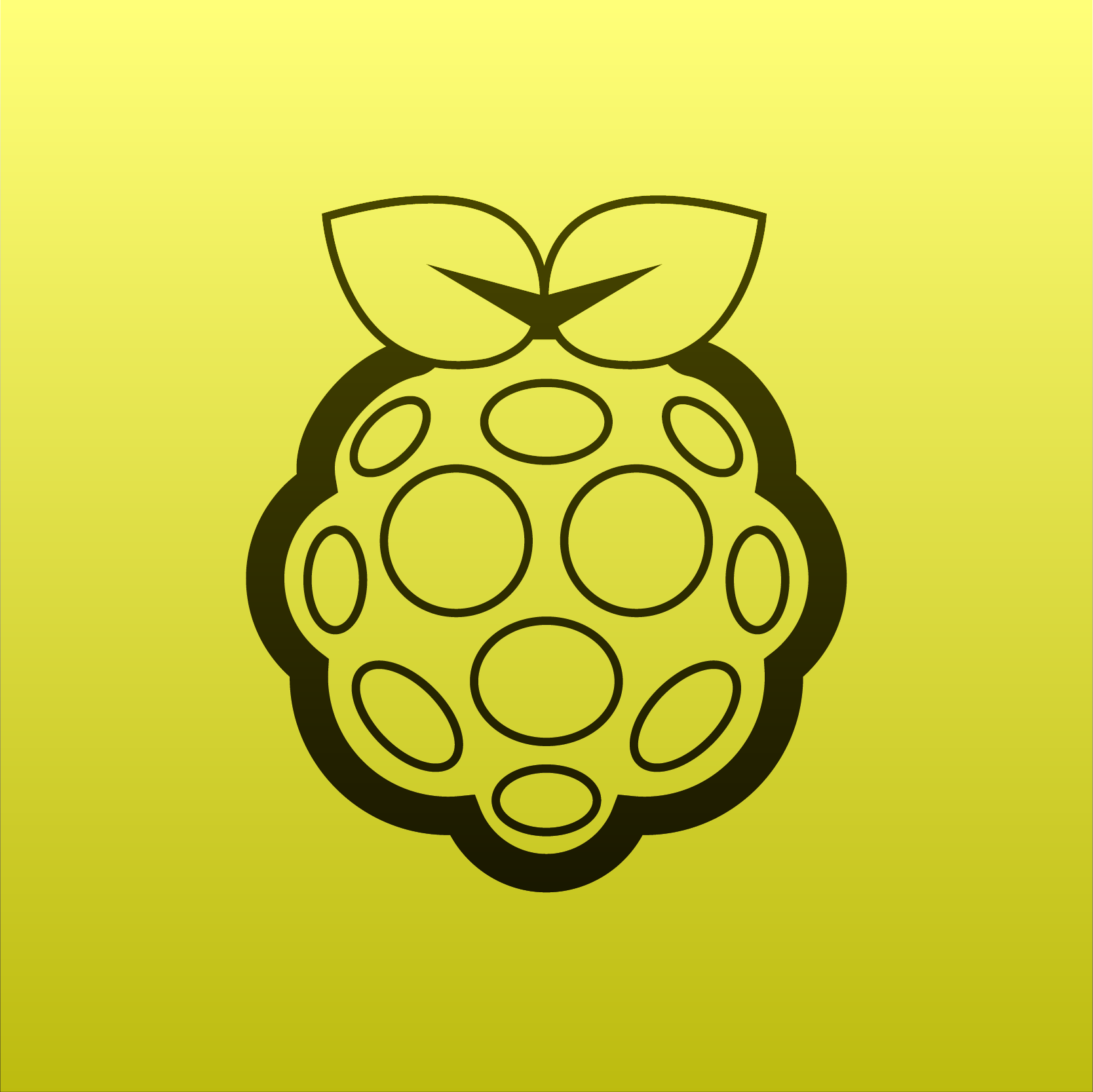 Summer Camp | Raspberry Pi