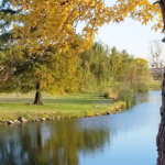 Tri County Tech Pond