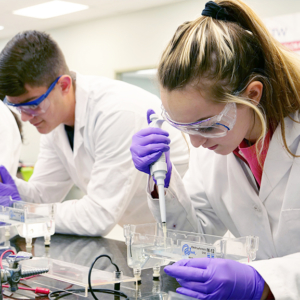 Students in the lab